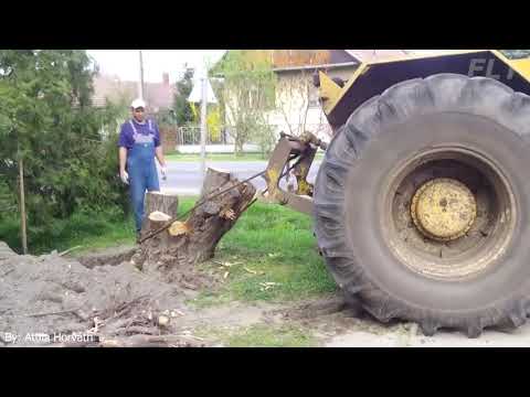 Tractor VS tree stumps