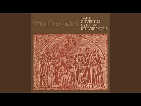 Kas to Rīgu dibināja?