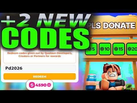 Pls Donate Codes