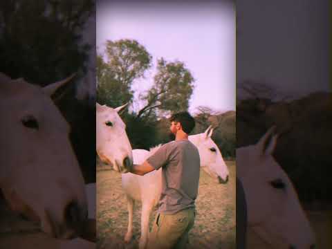 Vida en Tinte #argentina #restaurante #caballos #norteargentino #salta #seclantás