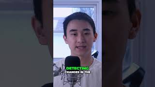 Smart Materials: Sensors, Actuators, and Processors Explained!