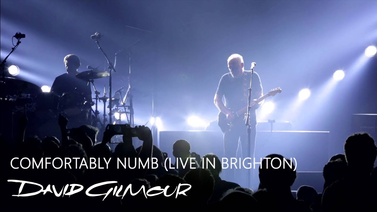 David Gilmour - Comfortably Numb (Live In Brighton) - YouTube