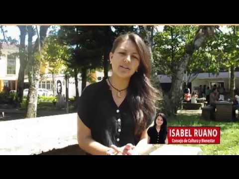 Unicauca, Vamos por la constituyente