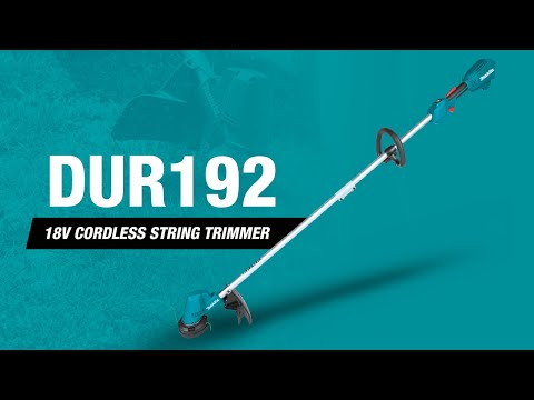 ������ ������ ���ʱ� ��ü�� DUR192