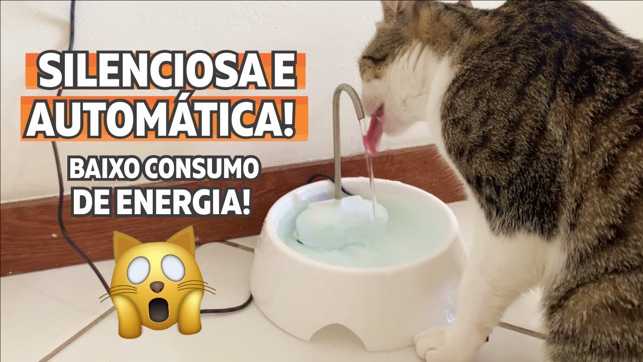 Opção BOA E BARATA de Fonte de Água Para Gatos! Review Completo Amicus Aqua Mini + OPINIÃO SINCERA!