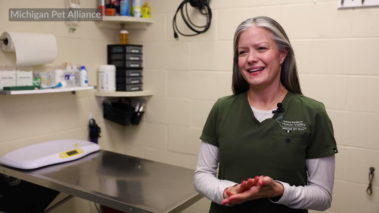 What can pet owners do to keep their cats safe from bird flu? (part 3 of 7)