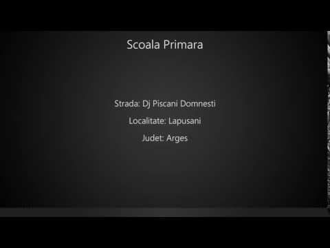 Scoala Primara Lapusani