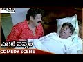 Pagale Vennela Movie Brahmanandam Raghu Babu Superb Comedy Scene Siva Balaji Brahmanandam