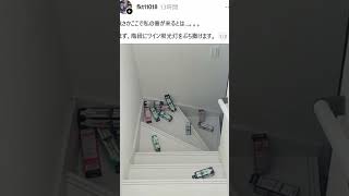 答答答ｗｗ