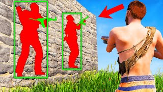 Seeing Through Walls in Rust