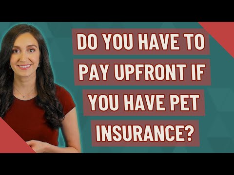 Do you have to pay upfront if you have pet insurance?