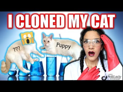 So.. I CLONED MY CAT 🙀😵🔬 (how to clone your cat at home)