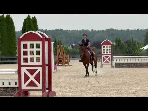 Quarter Sinclaire video 3