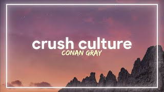 Conan Gray - Crush Culture (Lyrics)