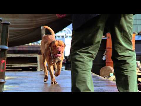 Тернер и Хуч - Трейлер