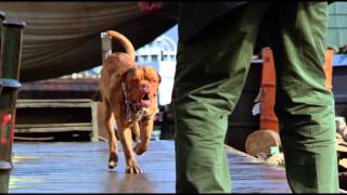 Трейлер: Тернер и Хуч