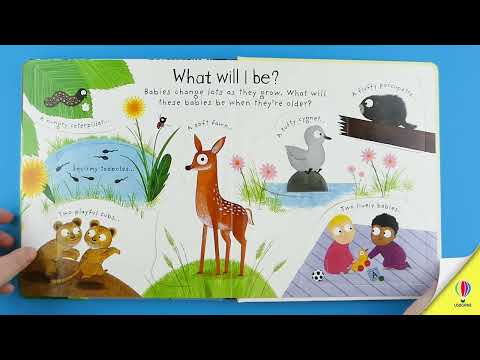 Книга Lift-the-Flap First Questions and Answers: Where Do Babies Come from? video 1
