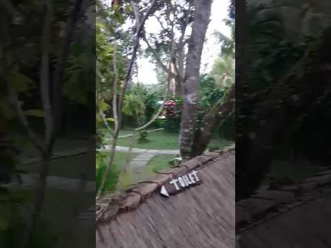Bali Ubud amazing yoga villa.