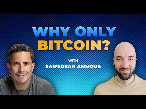Why Only Bitcoin? Interview with Saifedean Ammous