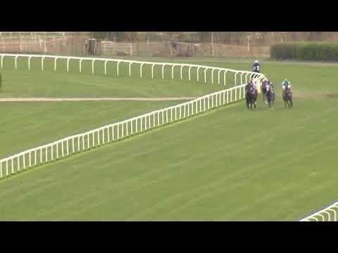 2. dostih - CENA DERBY CLUBU PRAGUE - dostihy Velká Chuchle 7. 4. 2019