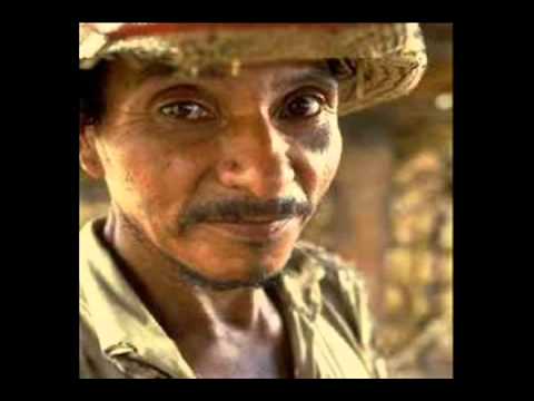 EL CAMPESINO YA NO TIENE GANAS / Felix Del Rosario