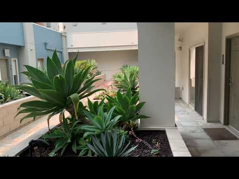 Avalon Santa Monica - Virtual Tour | 1 Bed 1 Bath Flat | Unit 2-104