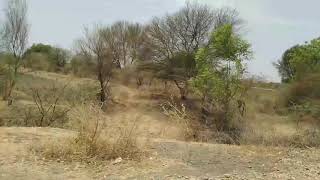 preview picture of video '(Aurangabad Trip) Partur to Jalna Via Ranjani'