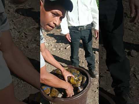 La Purísima en Wibuse, San Dionisio | Tradición, Alegría y Regalos para Todos 🙏✨