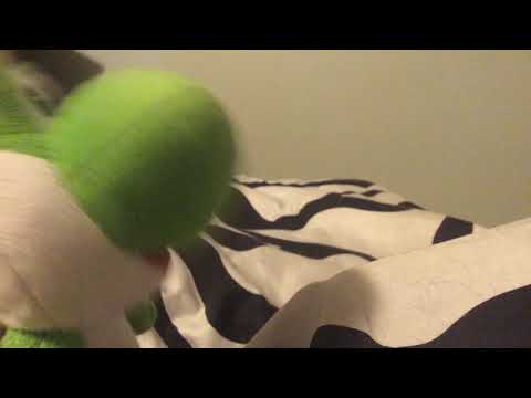 Yoshis big day part2