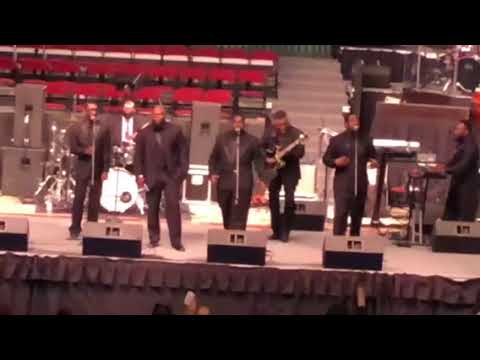 download lagu mp3 mp4 Members Of The Fantastic Violinaires, download lagu Members Of The Fantastic Violinaires gratis, unduh video klip Members Of The Fantastic Violinaires