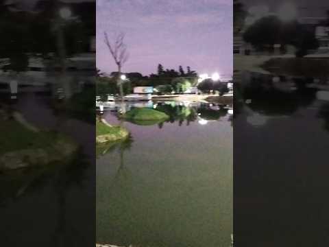 23/03/26, São Luís de Montes Belos, GO.#turismo #viagem #saoluisdemontesbelos #goias