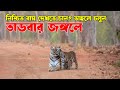 তাডবার জঙ্গলে স্বপ্নপূরণ Tadoba Tour Guide Tadoba Tour P