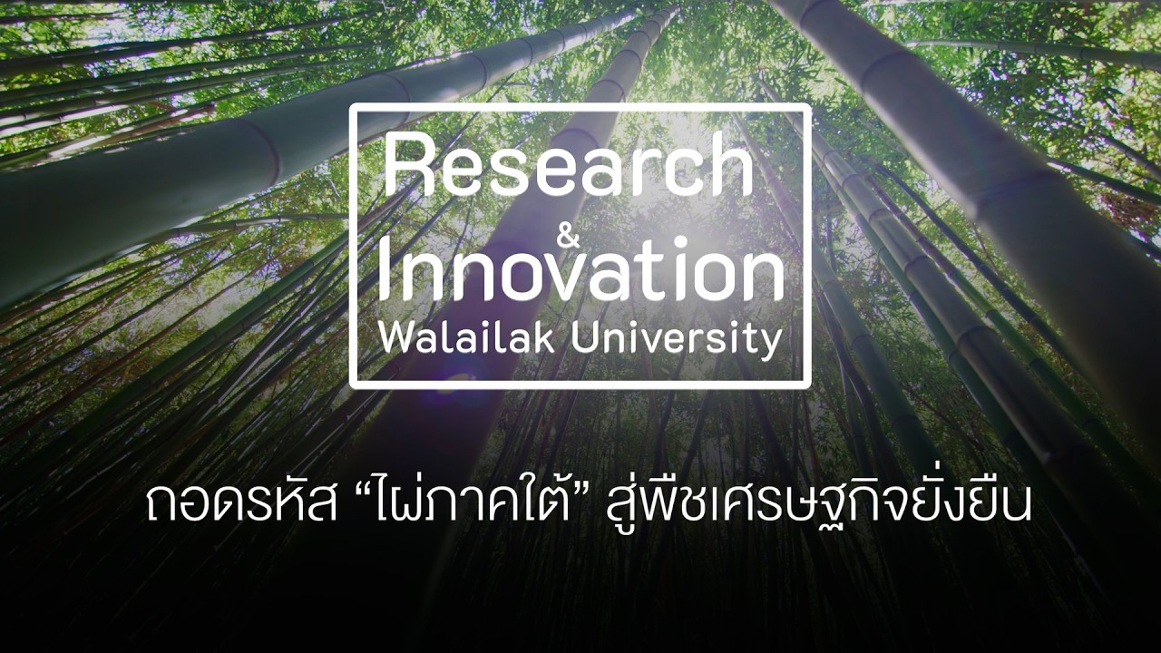  ถอดรหัส “ไผ่ภาคใต้” สู่พืชเศรษฐกิจยั่งยืน