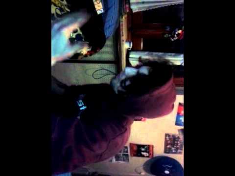 raffo freestyle inglese tarocco