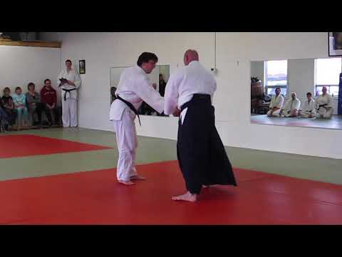 Aikido Seiryukan - Sendokan New Year Demonstration