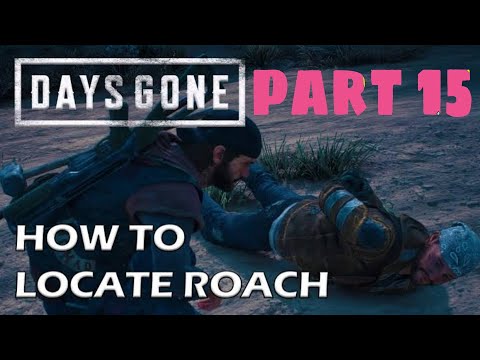 Days Gone - How To Locate Roach / The Rest Of Our Drugs  ps4