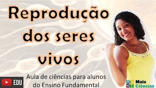 Aula: Reprodução dos seres Vivos