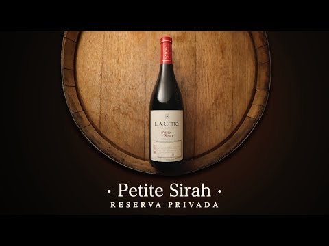 download lagu mp3 mp4 Petite Syrah Vino, download lagu Petite Syrah Vino gratis, unduh video klip Petite Syrah Vino
