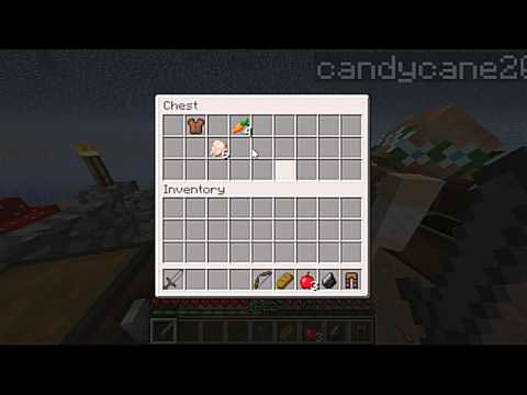 Bukkit Cube Hunger Games Fail w/PrecureGirl and candycane200 (2)
