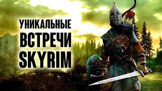 Skyrim РЕДКИЕ И УНИКАЛЬНЫЕ ВСТРЕЧИ + СЕКРЕТЫ!