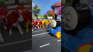 Download lagu SAPI LUCU LIAT KERETA THOMAS mp3 Download lagu SAPI LUCU LIAT KERETA THOMAS mp3