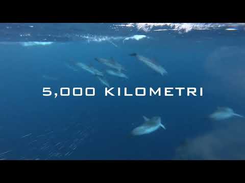 3,000 Miles Alone at Sea | Youngest Person to Row Across the Atlantic Alone