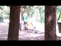 Angry Cats VS Dogs Funny Compilation 2017