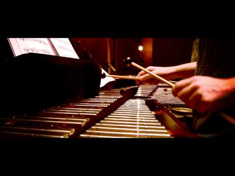 University of Illinois Bands Promotional Film