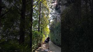 【韓国旅行VLOG】台湾に単身赴任中の嫁が旦那と会う週末のVLOG〜韓国編〜 #shorts #韓国旅行 #愛の不時着 #韓國 #travel