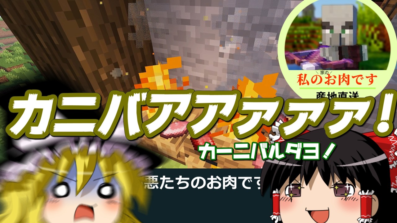 邪悪なネザーに潜入セヨ！【邪悪な世界 #5】【マイクラ】【ゆっくり実況】