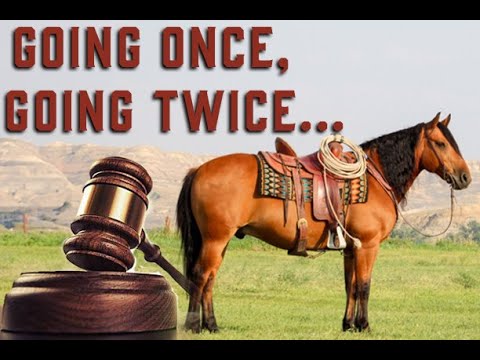 Thehorsebayauction