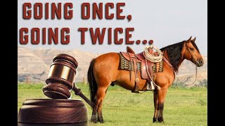 Don’t Miss Out! Horse Auctions Ending Soon at TheHorseBay.com