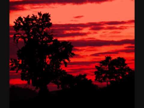 The Dresden Dolls- God Damn the Sun (Swans cover) live