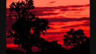 The Dresden Dolls- God Damn the Sun (Swans cover) live